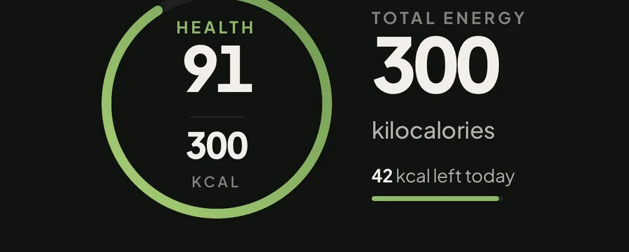 Close-up of a scan result: health score 91, 300 kcal